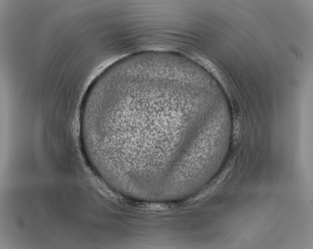 X0000113240787200910011325