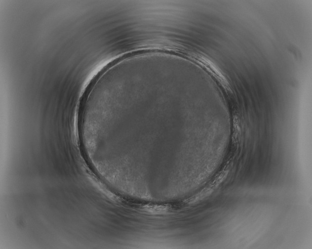 X0000113240788200910011325