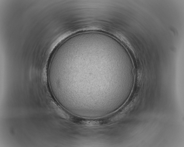 X0000113240789200910011325