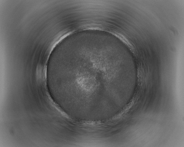 X0000113240790200910011325