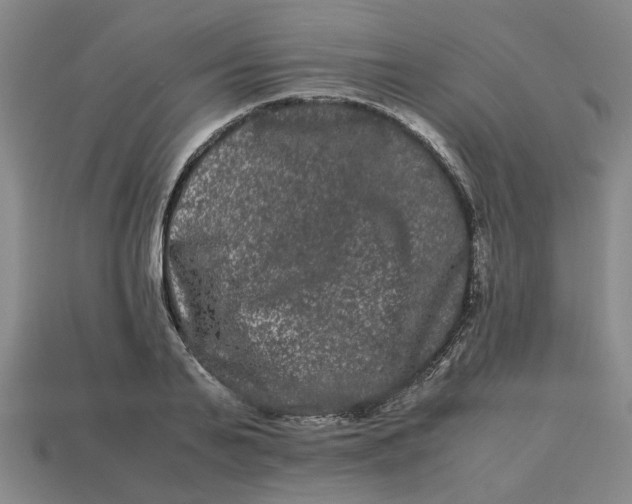 X0000113240791200910011325