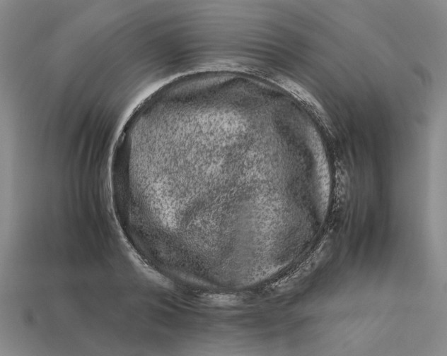 X0000113240792200910011325