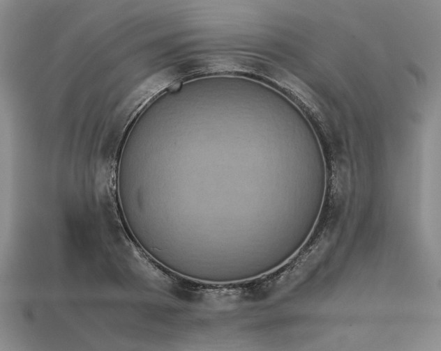 X0000113240793200910011325