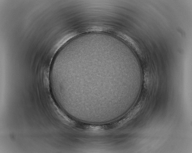 X0000113240794200910011325