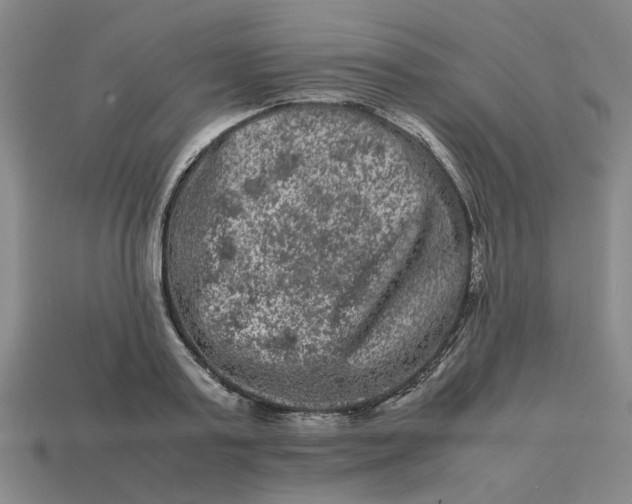 X0000113240795200910011325