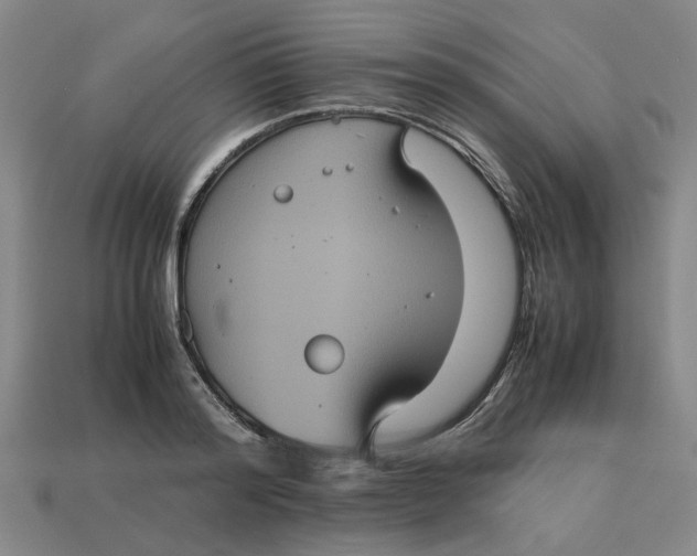 X0000113240796200910011325