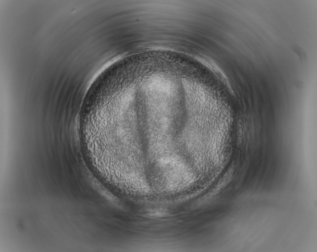 X0000113240798200910011325