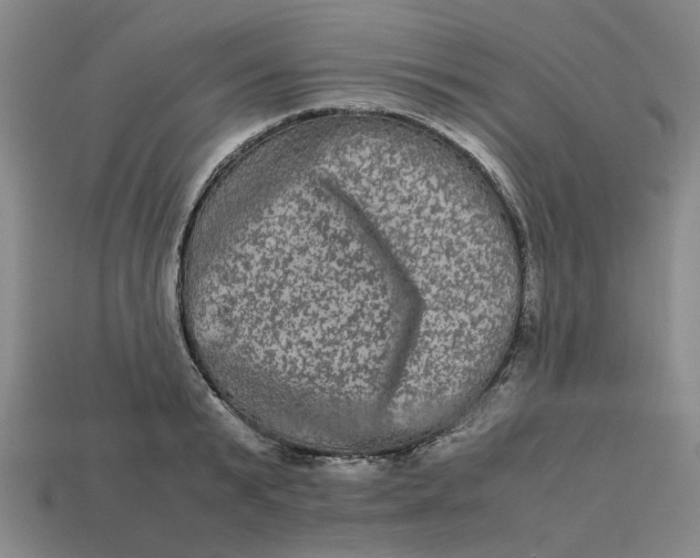 X0000113240799200910011325