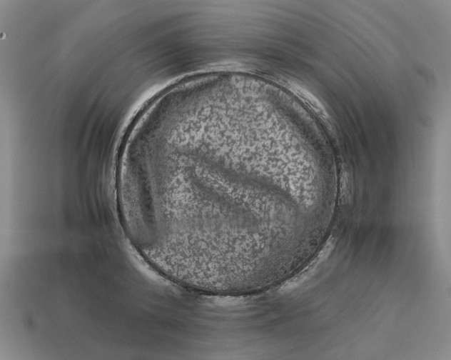 X0000113240800200910011325