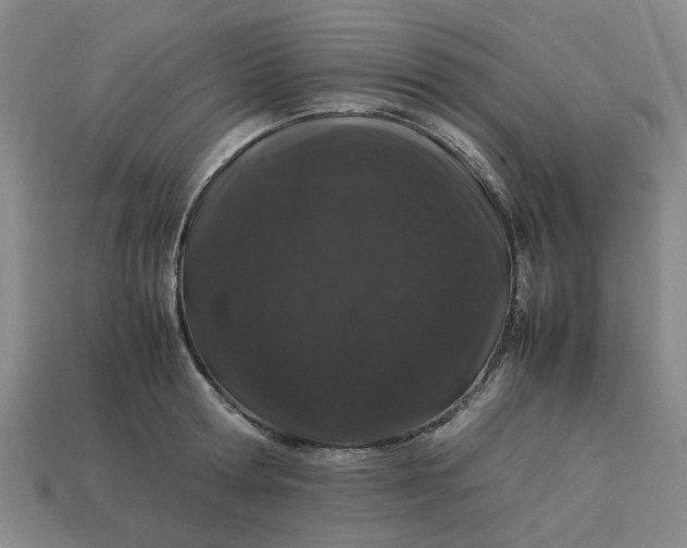 X0000113240802200910011325