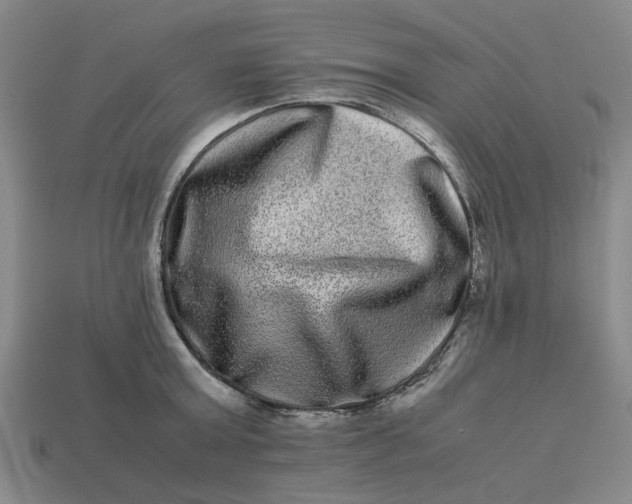 X0000113240803200910011325