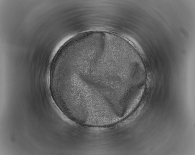 X0000113240804200910011325