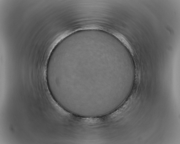 X0000113240805200910011325