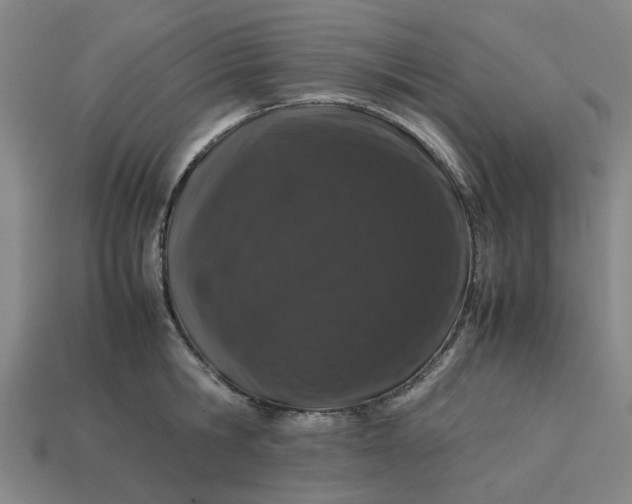 X0000113240806200910011325