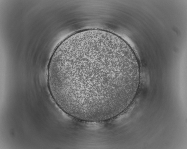 X0000113240807200910011325