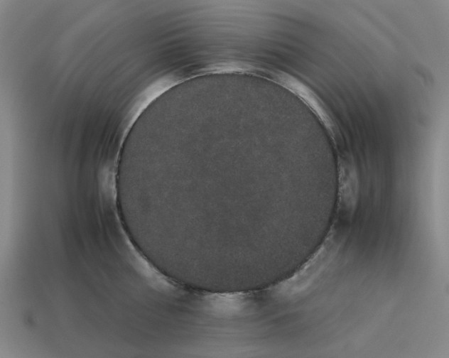 X0000113240810200910011325