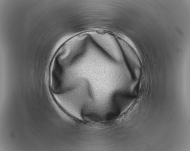 X0000113240811200910011325