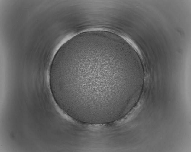 X0000113240813200910011325