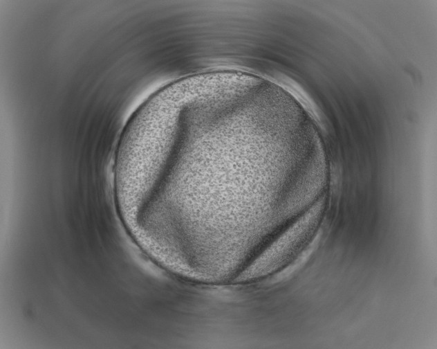 X0000113240814200910011325