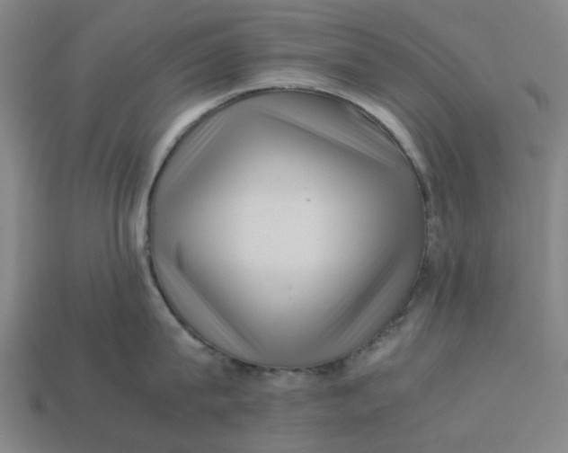 X0000113240815200910011325