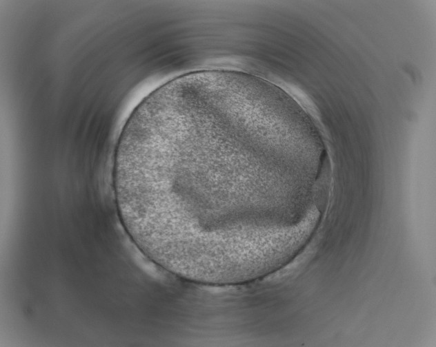 X0000113240816200910011325