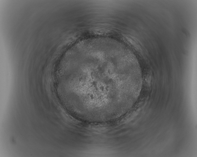 X0000113240817200910011324