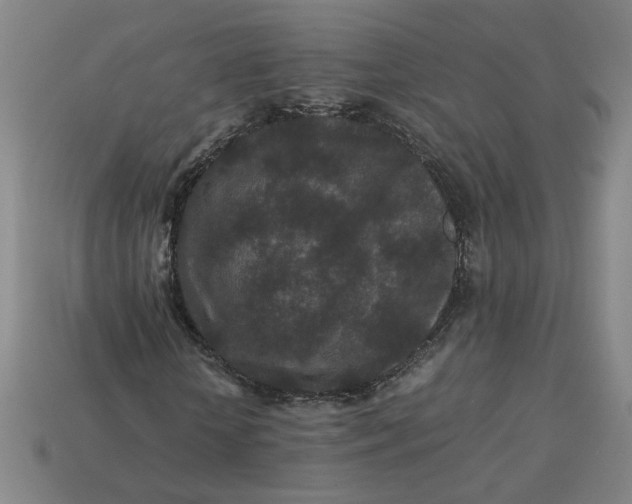 X0000113240818200910011324