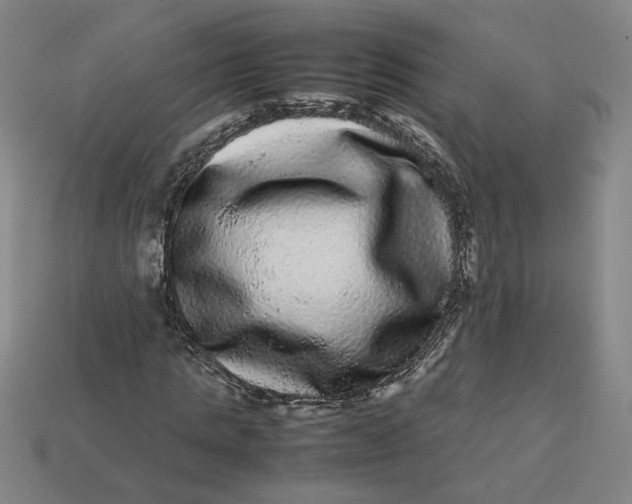 X0000113240821200910011324