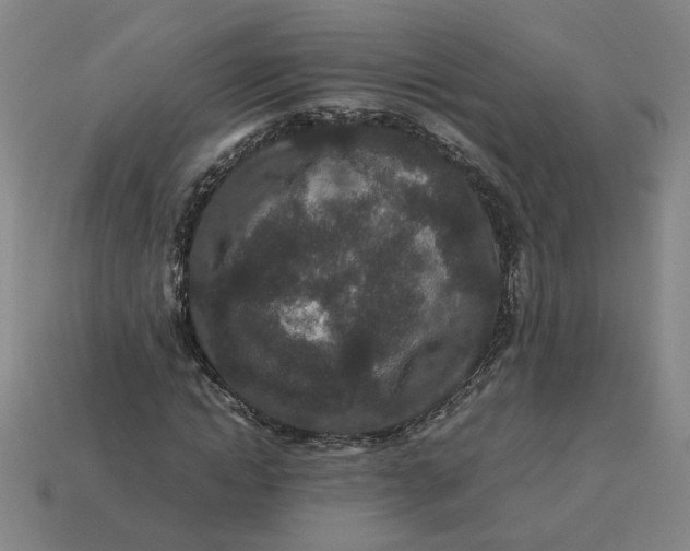 X0000113240822200910011324