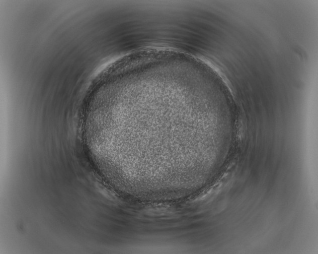 X0000113240823200910011324