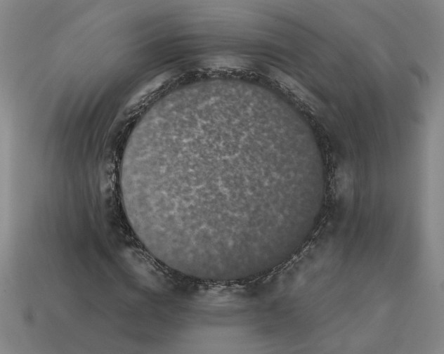 X0000113240824200910011324