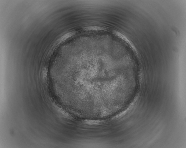 X0000113240825200910011324