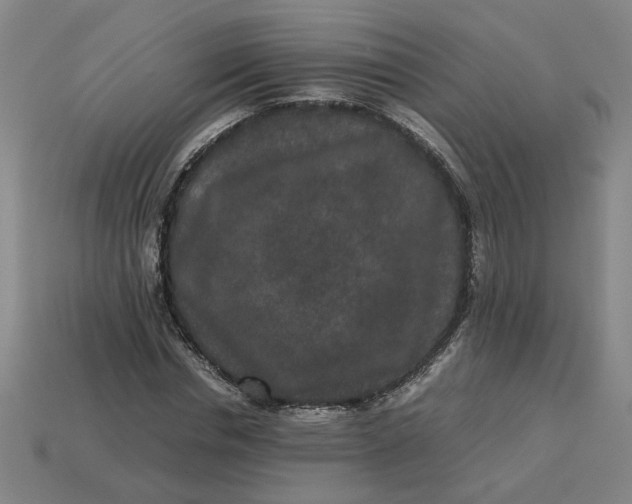 X0000113240826200910011324