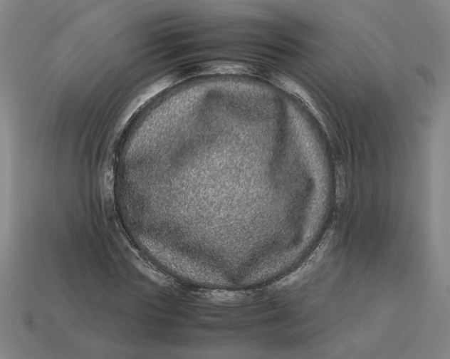 X0000113240827200910011324