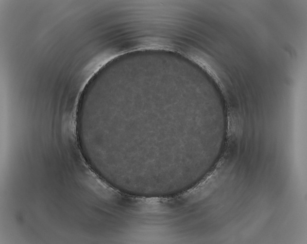 X0000113240828200910011324