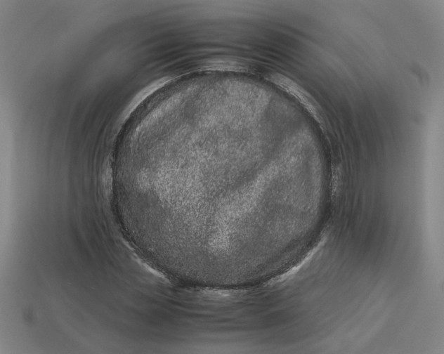 X0000113240829200910011324