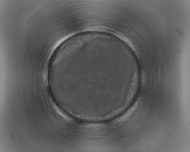 X0000113240830200910011324