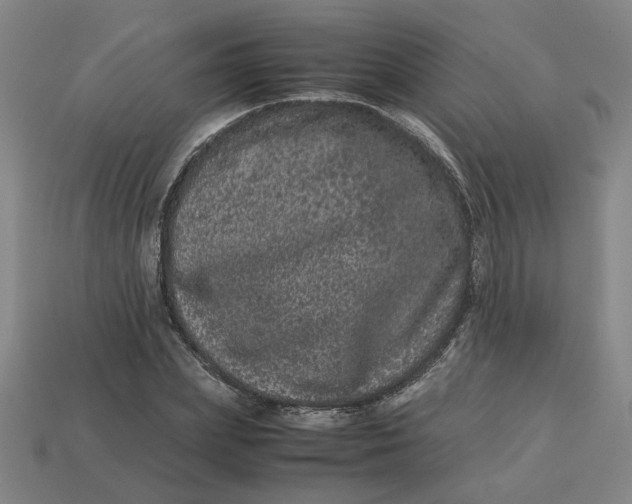 X0000113240831200910011324