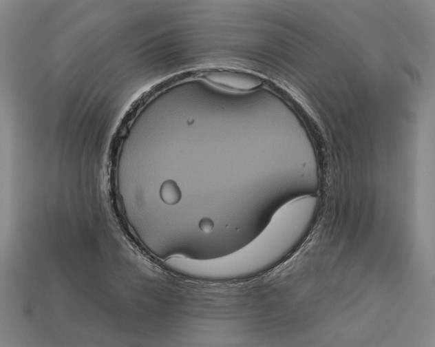 X0000113240832200910011324