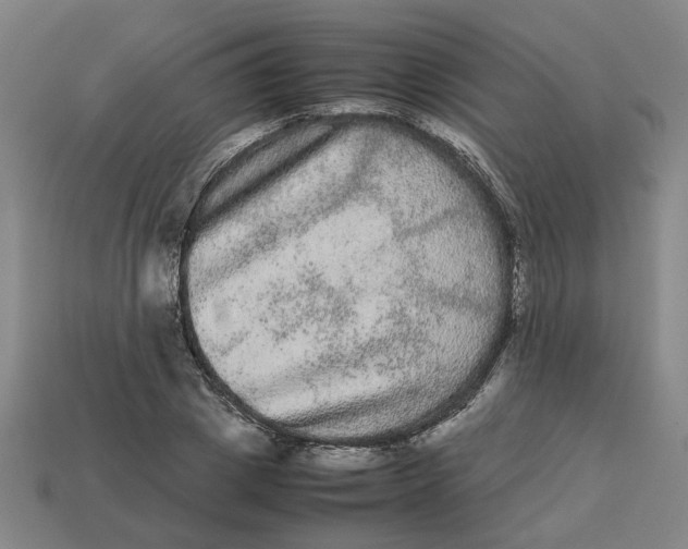 X0000113240833200910011324