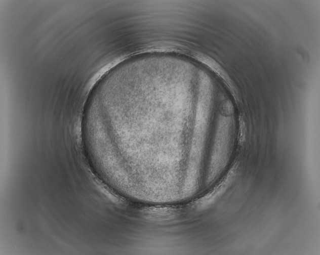 X0000113240834200910011324