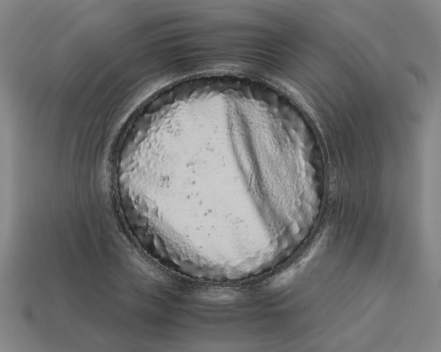 X0000113240835200910011324