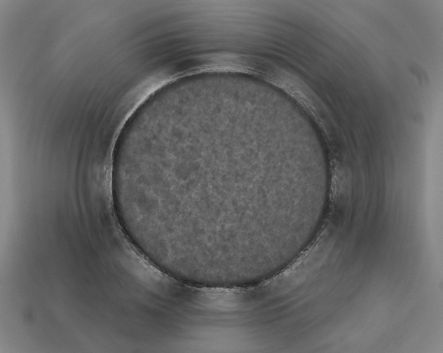 X0000113240836200910011324