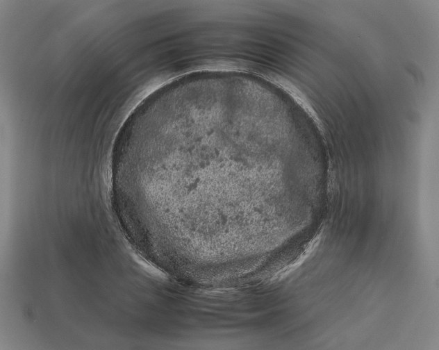 X0000113240837200910011324