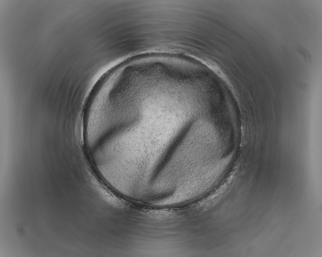 X0000113240838200910011324