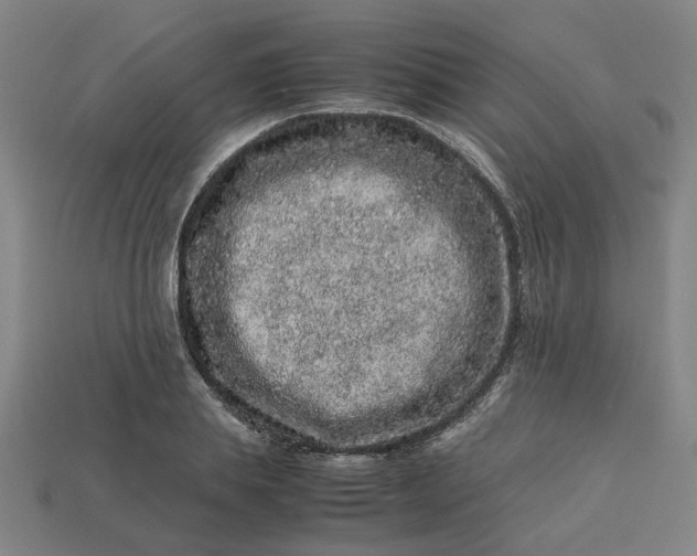 X0000113240839200910011324