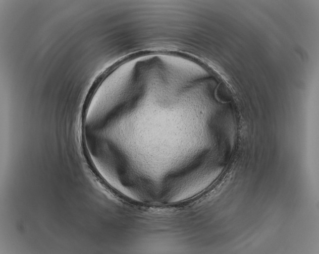 X0000113240840200910011324