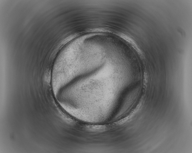 X0000113240841200910011324