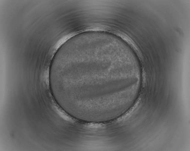 X0000113240842200910011324