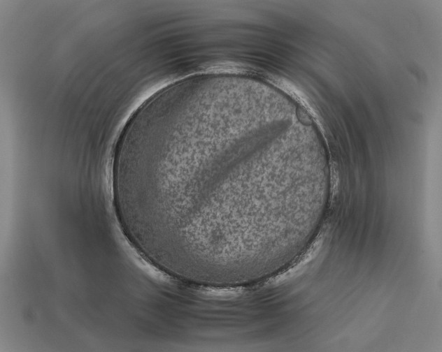 X0000113240843200910011324